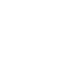 Practică intensivă