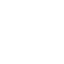 Trainer cu expertiză